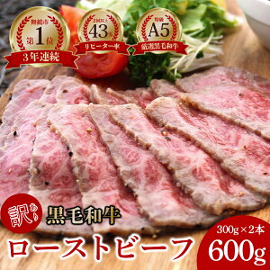 yӂ邳Ɣ[Łzy󂠂z Y A5  a [Xgr[t 300g×2 600g I  lC ] ^t ubN  O   y mH ґ  Hi Ⓚ 