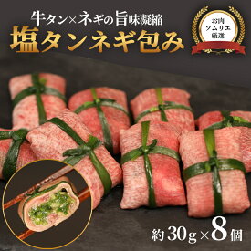 【ふるさと納税】 塩タンネギ包み 8個 ： 牛たん タン塩 塩タン ネギ 牛 牛肉 ビーフ 塩味 厳選 人気 焼肉 冷凍 小分け ギフト 贈答用 美味しい お勧め おすすめ 熨斗 舞鶴市 京都府