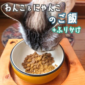 【ふるさと納税】 自然食材 ペットフード 3袋 お魚ふりかけ1袋付 安心安全 犬猫用 パウチ レトルト ペット用品 ワンコとニャンコのご飯 【送料無料】 ドッグフード キャットフード 犬 猫