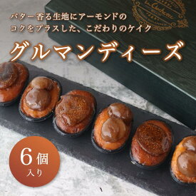 【ふるさと納税】 【お中元 ギフト】 グルマンディーズ 2種類 6個 マロン・イチジク 洋菓子 焼き菓子 ミニケーキ プチケーキ 栗 いちじく フルーツ 果物 プチ贅沢 ご褒美 スイーツ ギフト 贈答 プレゼント
