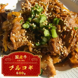 【ふるさと納税】 国産牛 スライス 600g ( プルコギ 味) 切り落とし 国産 牛 牛肉 もも バラ 焼き肉 焼肉 赤身 肉 冷凍 小分け 大人数用 熨斗 贈答 ギフト 幸福亭