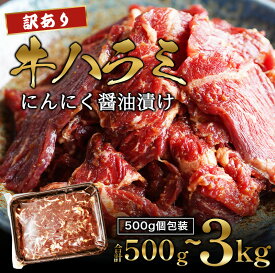 【ふるさと納税】 【訳あり】 牛ハラミ 焼肉 500g〜3kg 小分け ｜ 味付け にんにく醤油ダレ 牛肉 ハラミ 焼き肉 不揃い 冷凍 BBQ バーベキュー 人気 京都 舞鶴 幸福亭
