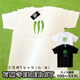 【ふるさと納税】 万願寺ENERGY Tシャツ オリジナルステッカー入り 舞鶴 万願寺 tシャツ メンズ レディース キッズ 半袖 Printstar プリントスター 5.6オンス ヘビーウェイトTシャツ 【送料無料】 衣類 服 男女兼用