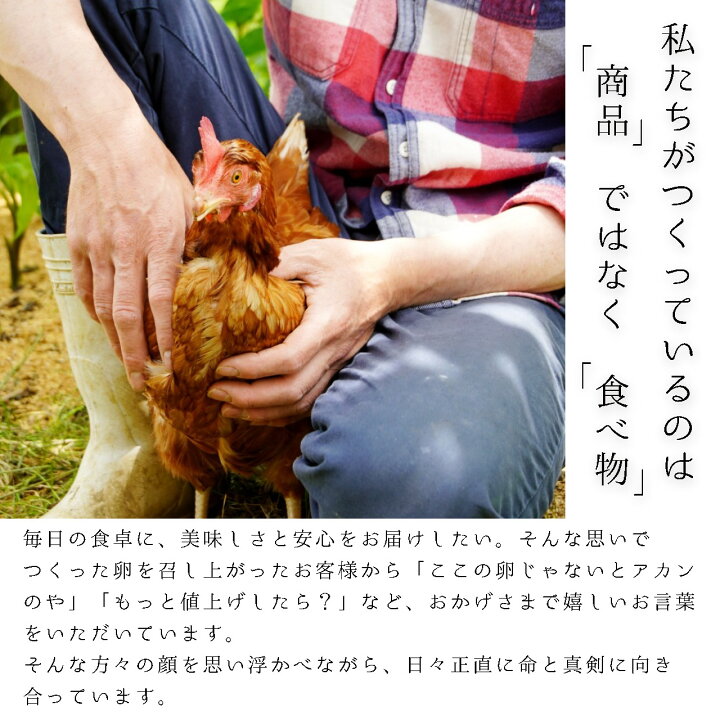 楽天市場】【ふるさと納税】 【定期便】 赤岩高原たまご 40個×3か月 