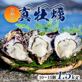 【ふるさと納税】 殻付き 真牡蠣 1.5kg 10〜15個 産地直送 殻付 1.5キロ セット 海鮮 魚介 加熱 調理用 貝 海産物 シーフード カキ オイスター 生かき カキフライ 牡蠣 オイスター 加熱調理用 酒蒸し 冬 日本海 育成 養殖 京都 舞鶴