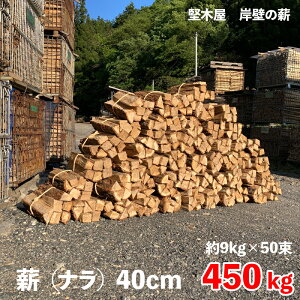 yӂ邳Ɣ[Łz d ܂ 450kg 9kg × 50 40cm d dXg[u   Y Lv AEghA gF Xg[u t@C[  ؉ ݕǂ̐d
