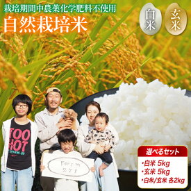 【ふるさと納税】令和7年度産 新米 自然栽培米 こしひかり 5kg/4kg （2kg×2） 白米/玄米 選べる 容量 精米方法 お米 コシヒカリ 京都産 舞鶴産 舞鶴コシヒカリ 舞鶴米 精米 米 農家直送 コメ ご飯 健康 農業 農家直送 京都 舞鶴 舞鶴市 ファーム271
