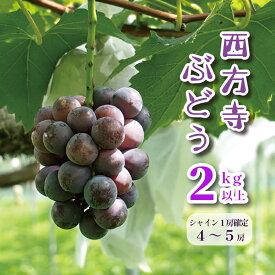 【ふるさと納税】 【9月頃発送開始】 シャインマスカット ピオーネ セット 2kg 以上 4～5 房 ランダム 詰め合わせ セット 葡萄 ぶどう 果物 スイーツ ご当地 お取り寄せ 先行予約 ブドウ フルーツ 【数量限定】