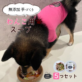 【ふるさと納税】 無添加 ペット用 手作り ミネストローネ　スープ 5袋 セット 詰め合わせ 愛犬 ご飯 ペットフード ドッグ 京都 舞鶴 エサ 餌