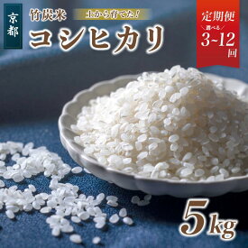 【ふるさと納税】【 定期便 】 令和8年度産 新米 発送開始！ 特別栽培米 竹炭米 精米 5kg × 3回 / 6回 こしひかり 竹炭 コシヒカリ 舞鶴産 京都 農家直送 生産者直送 お米の定期便 計15kg 計30kg