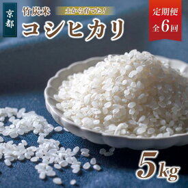 【ふるさと納税】 【 選べる 定期便 】 特別栽培米 竹炭米 精米 5kg × 回数 令和5年産 こしひかり 舞鶴竹炭米 竹炭 コシヒカリ 舞鶴産 京都 農家直送 生産者直送 お米 3回定期便 6回定期便 12回定期便 毎月 お届け 5kg定期便