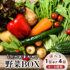 【ふるさと納税】 京都 舞鶴 季節の野菜BOX 詰め合せ セット 6〜8種類 1回 / 4回定期便 ： 季節の野菜 旬の野菜 旬野菜 新鮮 京野菜 食品 冷蔵 八百屋 厳選 産地直送 やさい ベジタブル ボックス 野菜セット