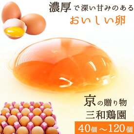 【ふるさと納税】 卵 40〜120個 無選別 MS〜LL 京の贈り物 割れ保証含む 20個×2〜6パック 選べる 容量 玉子 たまご 鶏卵 甘い 赤卵 まとめ買い 新鮮 直送 冷蔵 木酢液 たくさん オムレツ 卵かけ ゆで卵 朝食 料理 人気 三和鶏園 京都 舞鶴