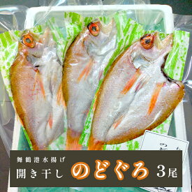 【ふるさと納税】 ノドグロ 3尾 開き干し 魚 鮮魚 新鮮 希少 貴重 高級魚 刺身 煮付け 塩焼き 天然 日本海 調理 のどぐろ 干物 魚介