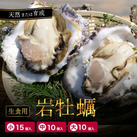 【ふるさと納税】岩牡蠣 生食用 10〜15個 3〜4kg 訳あり 大容量 天然 育成 冷蔵 夏季限定 京都 舞鶴市