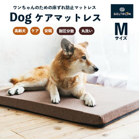 【ふるさと納税】 ジェルトロン Dog ケアマットレス Mサイズ ： ペット用品 いぬ 犬 ドッグ わんこ ベッド マット マットレス ケア 老犬 シニア犬 介護 ペットマット ドッグケア 床ずれ 防止 予防 寝たきり 病気 ケガ ペット介護 丸洗い 衛生的 介護用 ペットケア 京都 舞鶴