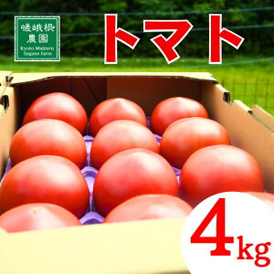 yӂ邳Ɣ[Łz5{-7{E10-1 g}g 4kg ϔ _ƒ _  VN  Ė VN Nx Q ߎY ʃg}g S S 傫 ng}g ߃g}g ]