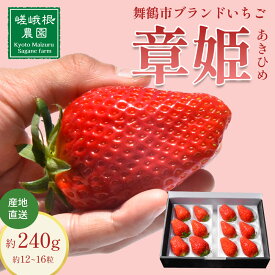 【ふるさと納税】 【2026年1月中旬以降発送】 いちご 章姫 480g前後 ( 特大粒 ) 苺 イチゴ 果物 フルーツ 箱入り 完熟 真っ赤 おいしい 甘い 評判 農家直送 産地直送 鮮度 抜群 好評 人気 ハウス栽培 あきひめ 大きめ 舞鶴 京都 嵯峨根農園
