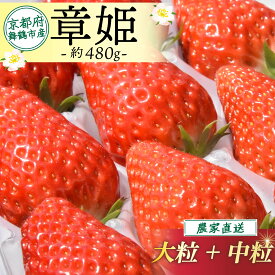 【ふるさと納税】 【2026年1月中旬以降発送】 いちご 章姫 480g前後 ( 大粒 + 中粒 ) 苺 イチゴ 果物 フルーツ 箱入り 完熟 真っ赤 おいしい 甘い 評判 農家直送 産地直送 鮮度 抜群 好評 人気 ハウス栽培 あきひめ 大きめ 舞鶴 京都 嵯峨根農園