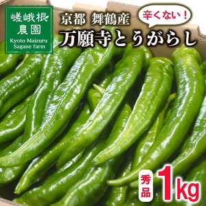 yӂ邳Ɣ[Łz y5{`11{z 莛 Ƃ炵 1kg Gi hȂ    Â { ̂ꂽ  ` o[xL[ BBQ  Ė _ Yn  