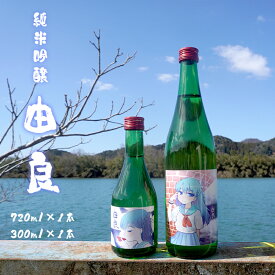 【ふるさと納税】 純米吟醸 由良 720ml×1本 300ml×1本 日本酒 2本セット 辛口 地酒 限定パッケージ 【送料無料】 贈答 熨斗