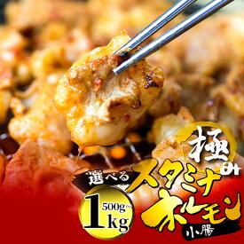 【ふるさと納税】 国産 牛 極上 ホルモン 小腸 タレ揉み 500g/1kg （250g 個包装） 小分け タレ付き : ほるもん 牛肉 牛ホルモン モツ 焼き肉 BBQ 味付け肉 キャンプ アウトドア 京都 舞鶴