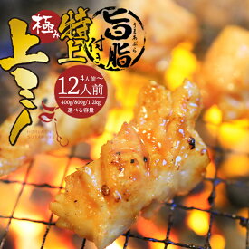 【ふるさと納税】 特上 旨脂付き 上ミノ 400g/800g/1.2kg 附属タレ付き ： 冷蔵 もつ鍋 ホルモン ギフト お祝い