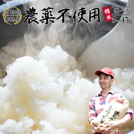【ふるさと納税】 令和7年度産 棚田米 5〜15kg 白米 栽培期間中農薬不使用 コシヒカリ お米 精米 京都産 舞鶴 こしひかり ごはん 農家直送 生産者直送