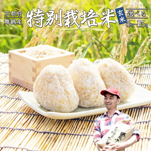 yӂ邳Ɣ[Łz yߘa6NxY \ z Ic  /  5`15kg ʍ͔| 7팸 RVqJ sY  Ђ ͂ _ƒ YҒ