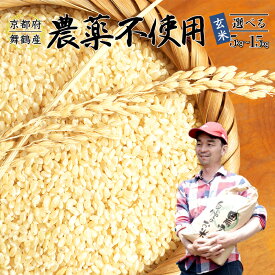 【ふるさと納税】 令和7年度産 棚田米 玄米 5〜15kg 栽培期間中農薬不使用 コシヒカリ こしひかり 京都産 舞鶴 こしひかり ごはん 農家直送 生産者直送