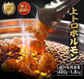 【ふるさと納税】国産 霜降り 上トロホルモン 400g〜1.8kg 秘伝タレ付き 冷凍 真空パック 家庭用 ホルモンうどん 八島丹山 京都府舞鶴市