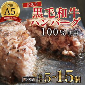 【ふるさと納税】【訳あり】黒毛和牛 A5 ハンバーグ 140g ×5〜15個｜国産 和牛 真空個包装 冷凍 お取り寄せグルメ 京都 舞鶴