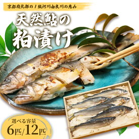 【ふるさと納税】天然鮎の粕漬け 6匹/12匹 【 由良川漁協 あゆ 鮎 アユ 魚 魚介 川魚 海鮮 漬け魚 粕漬け 酒粕 天然 大人 贅沢 おつまみ 酒の肴 珍味 舞鶴 京都 】