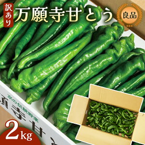 yӂ邳Ɣ[Łzy󂠂z 莛ÂƂ Ǖi 2kg | `Es hȂ Č o  W[V[ sY { G߂̖ lߍ킹 ̃uhYi  莛 ܂