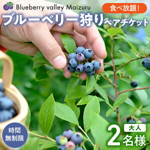 yӂ邳Ɣ[Łzy6`8z u[x[ yA`Pbg yԖEHוz | u[x[ ʕ t[c wȏ Eݎ ̌ `Pbg yA   H 