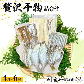 【ふるさと納税】旬の魚 干物セット 贅沢詰合せ 4〜6種 日本海産 | 干物 高鮮度真空パック 冷凍 個包装 ギフト 贈答用 舞鶴 舞鶴市 京都