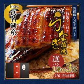 【ふるさと納税】 浜名湖産 うなぎ蒲焼き 特製タレ付き 1〜3尾 | うなぎ 蒲焼き 国産 浜名湖産 ギフト プレゼント 贈答用 冷凍 土用の丑の日 うな丼 特製タレ 職人手焼き 関東風 うなぎの蒲焼 鰻京都 舞鶴