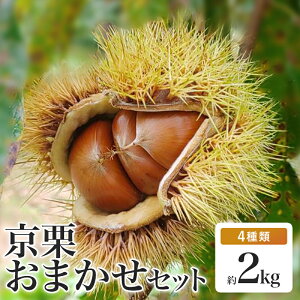 yӂ邳Ɣ[ŁzyIׂzOgI ܂Zbg 4 2kg ① y ʌ Xn I 2kg 2L ۂ낽 Β ݍ ̂  藢 }g _ÌI _ƒ _ ʕ 
