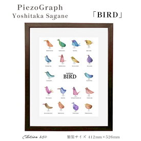 【ふるさと納税】相根良孝 ピエゾグラフ 絵画「BIRD」 額装サイズ412mmx526mm 額縁付き アート インテリア 現代版画 出産祝い 進学祝い 成人祝い 就職祝い 退職記念 結婚祝い 結婚記念のお祝い お誕生日 長寿のお祝い 新築祝い 開業のお祝い 綾部 京都【送料無料】