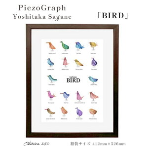 yӂ邳Ɣ[ŁzǍF sG]Ot GuBIRDv zTCY412mmx526mm zt A[g CeA ŉ oYj iwj lj AEj ސELO j LÔj 