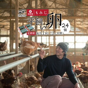 【ふるさと納税】【定期便・選べる月数】京都奥丹波 純国産鶏もみじ 平飼いたまご 24個×3〜12ヶ月 【 卵定期便 たまご定期便 平飼い卵 非遺伝子組み換え 自家配合 たまご タマゴ 平飼い 卵