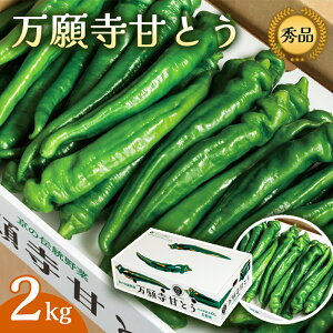 yӂ邳Ɣ[Łz Iׂe 莛ÂƂ Gi i 600g / 1kg / 1.2kg / 2kg j y  W[V[ hȂ B̋ Y { G߂̖ lߍ킹 ̃uhYi  莛  
