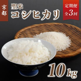 【ふるさと納税】《選べるお届け回数》【定期便】京都府産コシヒカリ「聖米」白米10kg （ 3回 / 6回 / 12回 ）【 お米 米 白米 精米 こしひかり 国産 選べる 定期便 毎月発送 京都 綾部 】