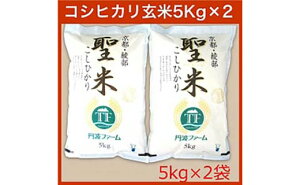yӂ邳Ɣ[Łzyߘa7NxY Vāz s{YRVqJ uāv  10kg i5kg×2j     Ђ _ƒ Y s 