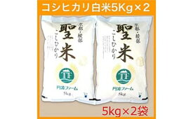 【ふるさと納税】京都府産コシヒカリ 「聖米」 白米 10kg (5kg×2) お米 米 白米 精米 こしひかり 国産 京都 綾部【送料無料】