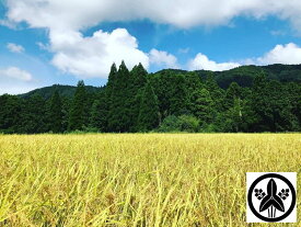 【ふるさと納税】令和7年産 コシヒカリ 5kg 白米 【 京都 綾部 奥京都 米 コシヒカリ こしひかり お米 5キロ 精米 白米 こめ 米 農家直送 】