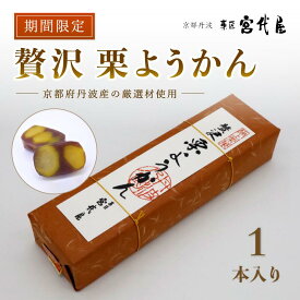 【ふるさと納税】【先行予約】贅沢 栗ようかん 1本 【 京都 綾部 和菓子 贈り物 贈答 プレゼント ギフト 手作り 栗 くり 大栗 小豆 こしあん 銀寄栗 羊羹 プレゼント 丹波 スイーツ 栗羊羹 】