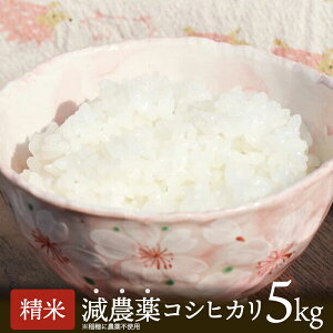 yӂ邳Ɣ[Łz ߘa7NY V _͔| RVqJ5kg i  /  jy Ђ      _ƒ Y ͂   Sn ӂ邳  5L Iׂ