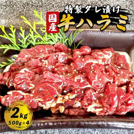 【ふるさと納税】≪選べる容量≫国産タレ漬けハラミ焼肉 （ 1kg / 1.5kg / 2kg ）【 冷凍 自家製甘口 ハラミ はらみ 大容量 焼き肉 焼肉 焼肉セット アウトドア キャンプ BBQ おすすめ 小分け 国産牛 肉 お肉屋 肉屋 京都 綾部 】