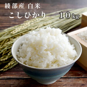 yӂ邳Ɣ[Łzߘa7NY V RVqJ 10kg   Y s{ Y Ђ   R  ͂